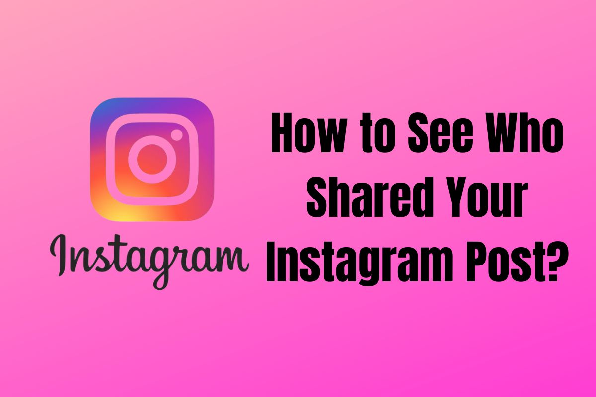 how-to-see-who-shared-your-instagram-post