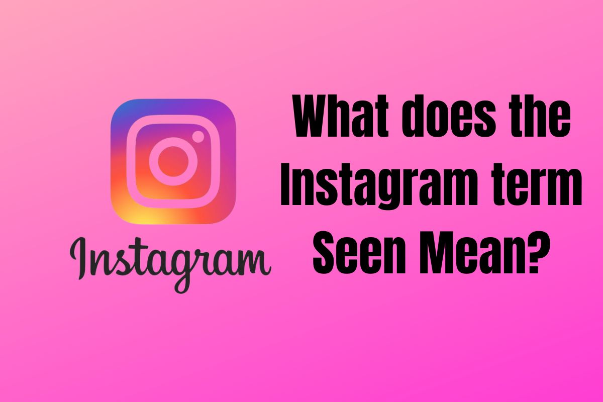what-does-the-instagram-term-seen-mean